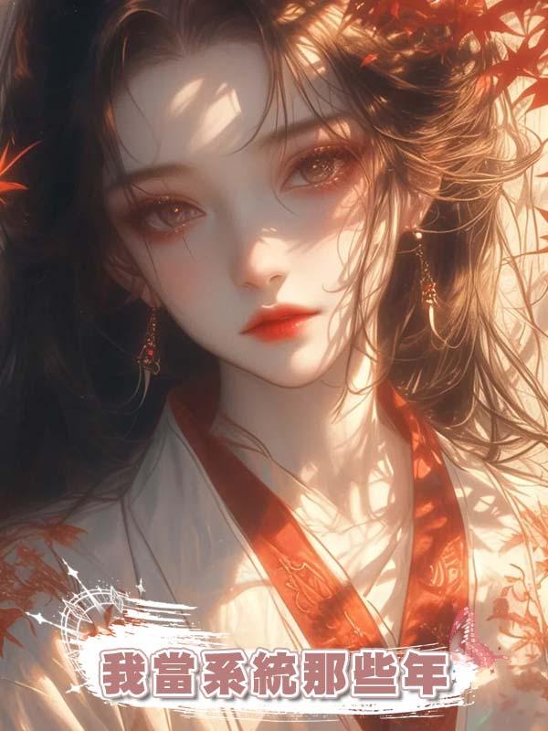 我當系統那些年