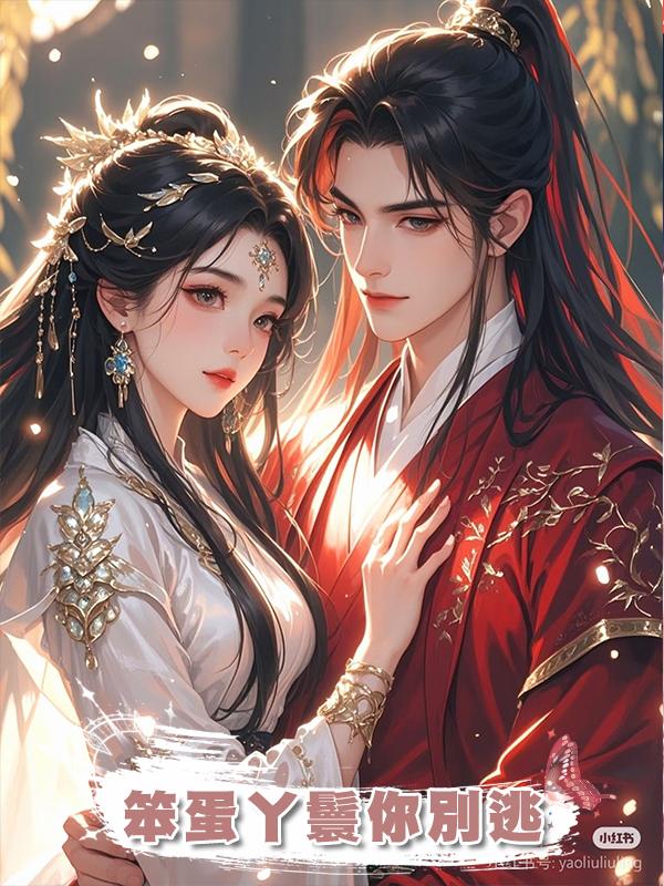 笨蛋丫鬟你別逃