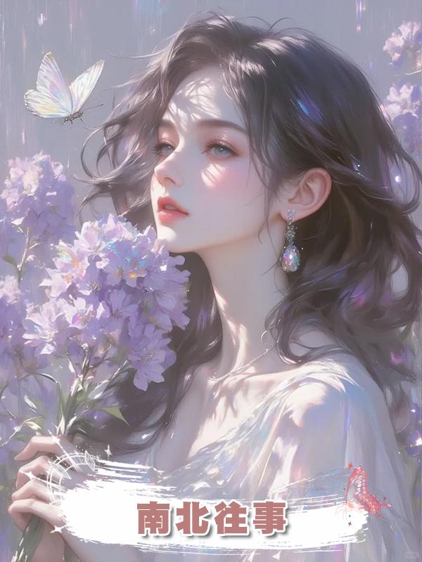 南北往事