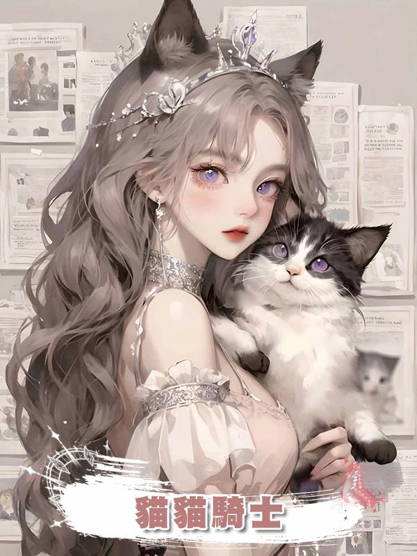 貓貓騎士