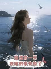 婚禮前一天，攻略對象失憶了